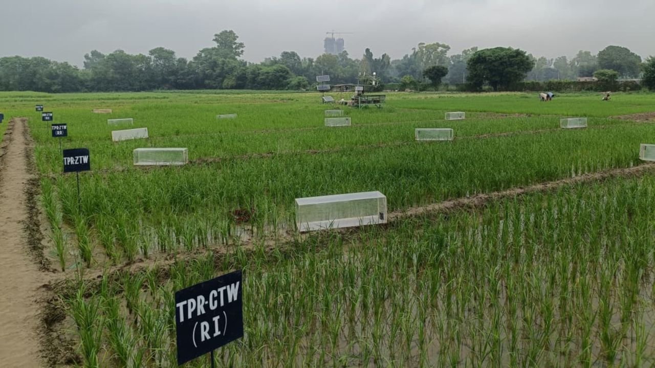 AI Pesticide Startup Led by Teens Raises $6M and Attracts Paul Graham