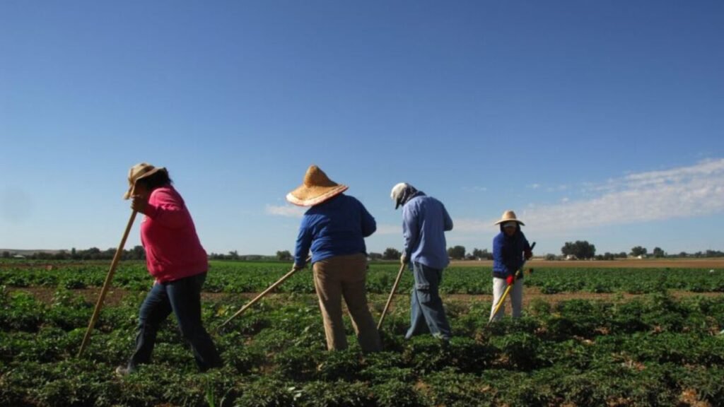 Legal Migrant Labor Is Essential for Idaho’s Agriculture, Farmers Urge Immigration Changes